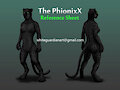 The PhionixX Ref Sheet