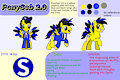 The new PonySeb 2.0 reference sheet (October 2021)