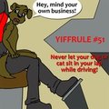 Yiffrule #51