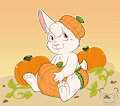 Pumpkin Bunny