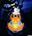 Pumpkin Belly 2