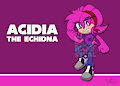 Acidia The Echidna Raffle Prize by Wretchydoodles