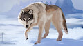 Wolf speedpaint by WerewolfDegenerate