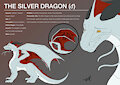Commission - The Silver Dragon Character Sheet