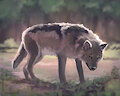 Wolf speedpaint 2 by WerewolfDegenerate