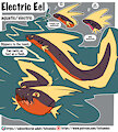CRITTER CREATION-Electric eel