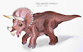 Triceratops horridus