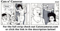 Cats n Cameras Strip 143 Ending another day