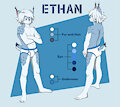 Ethan The canadian lynx new design