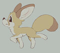 Fennec by skidoo