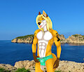 Smexy Island Fox :3