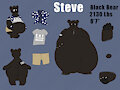Steve, The Black Bear