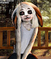 FILE 004: Bunny Boy by RTXONHD