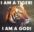 STORY: I am a Tiger! I am a God!