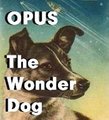 STORY: Opus the Wonder Dog