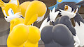 Tails and Klonoa bubble butts