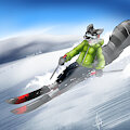 ski raccoon by Zcomic