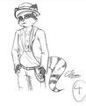 raccoon with attitude by dakon