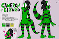 [G] Cameron the Lizard reference sheet