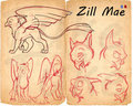 Zill Mae Ref Sheet - WIP by Tuke