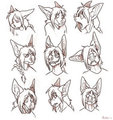 The Various Expressions of Monte
