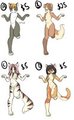 Kitty kitty adoptables