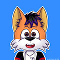 SkullKingFox icon