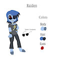 Raiden Reference Sheet