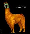 Llama Fett