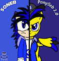 United we will stand: Soneb and PonySeb 2.0