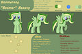 Boomerang Beauty's Reference Sheet