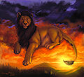 The sunset lion by FuzzyMaro