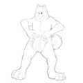 Diapered Husky Showing Off