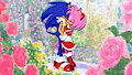 Amor Sonic X Amy by AngelDeLaVerdad