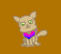 bisexual flag cat