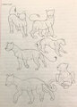 Lions
