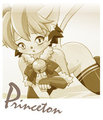 Princom 2 by Ricepudding