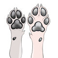 Cybernetic Paw