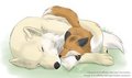 .:Gifty - Afternoon Nap:.