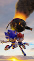 Sonic and Sally: Take a flying leap!