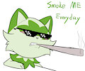 Smoke Me Everyday
