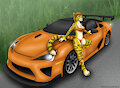 King cheetah car pinup by Rahir