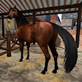 Addler Horse 4 by Mearcu