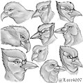 Avian Sketch Page by Lore4697