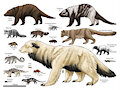 Santa Lucia Formation mammals by palerelics
