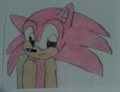 Pink Sonic 2022 by PrincessShannon