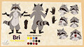 Bri the Raccoon 2022 Ref Sheet (PG Nude) by tamiasthechipmunk