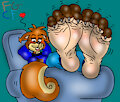 Shelly Scrunchy squirrel toes pov