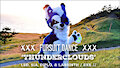 Fursuit Dance / Exe / 'Thunderclouds' / LSD //