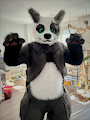 Ray the Pangoose - Fursuit by Darknetic